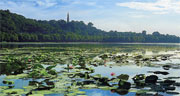 hangzhou tour