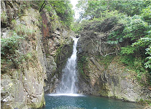 Ningbo Wulong Pond