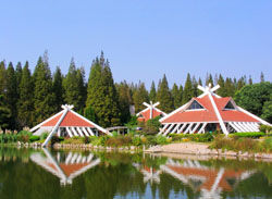 Dongping National Forest