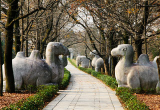 Nanjing