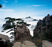 Top 10 Shanghai Tours Top 10 Shanghai Tours