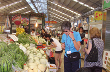 Shanghai Day Trips and Short Tours