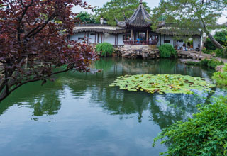 Pool in the Master of Nets Garden Suzhou